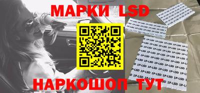 прущие грибы Краснодар