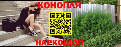 прущие грибы Краснодар