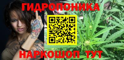 тгк Краснокаменск