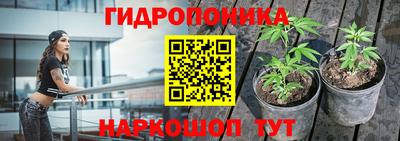 прущие грибы Краснодар
