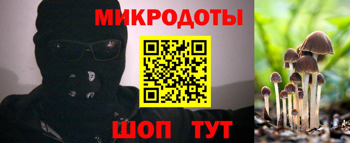 Псилоцибиновые грибы мухоморы Кохма